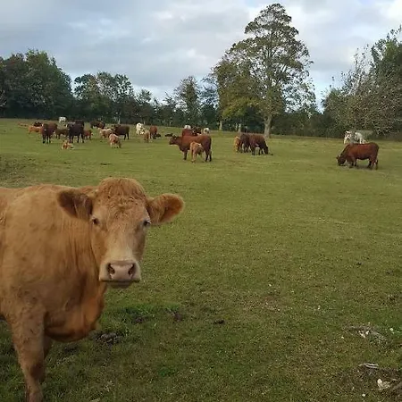 Le De L'etrier Canchy (Calvados)