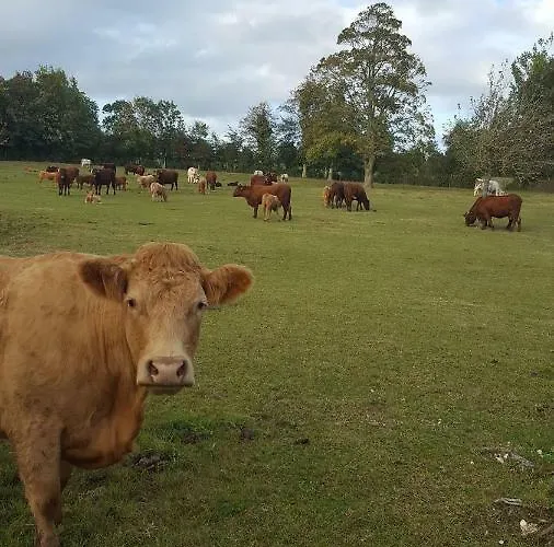Le De L'etrier Canchy (Calvados)